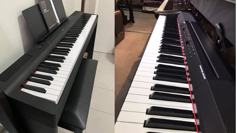 Alesis Prestige Artist vs Yamaha P125 Comparison: Why the Yamaha P125 Is the Better Investment