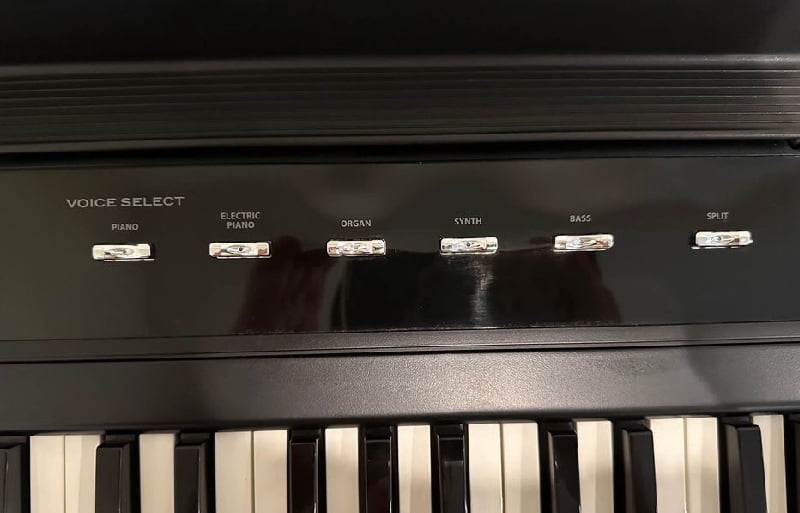 Williams Legato includes 10 sounds piano