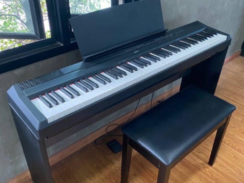 Yamaha P-115 is great for beginners and intermediate pianists