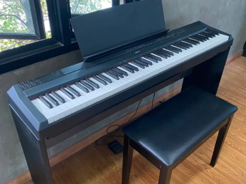 Yamaha P-115 is great for beginners and intermediate pianists